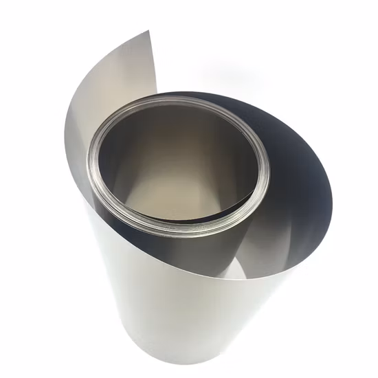 Günstiger Preis Reiner Tantalstreifen Ta1 R050200